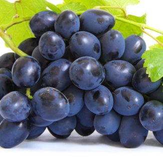 Grape Seed Extract